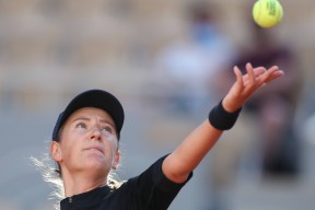 开云体育- 阿波卡猎逃高清dvd 